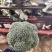 一位山东在台州包地的小伙期待与各位老板合作😄😄