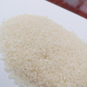 东北珍珠米，好吃不抬头，一碗大米饭欢迎采购