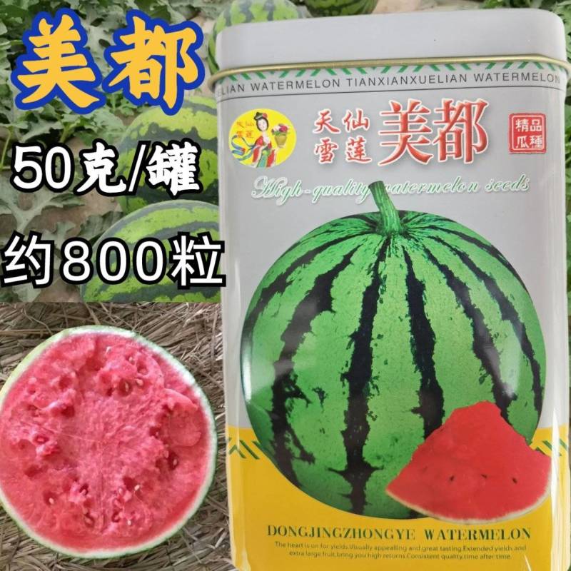 正宗美都西瓜种子红瓤耐裂超8424超甜露地大棚美都