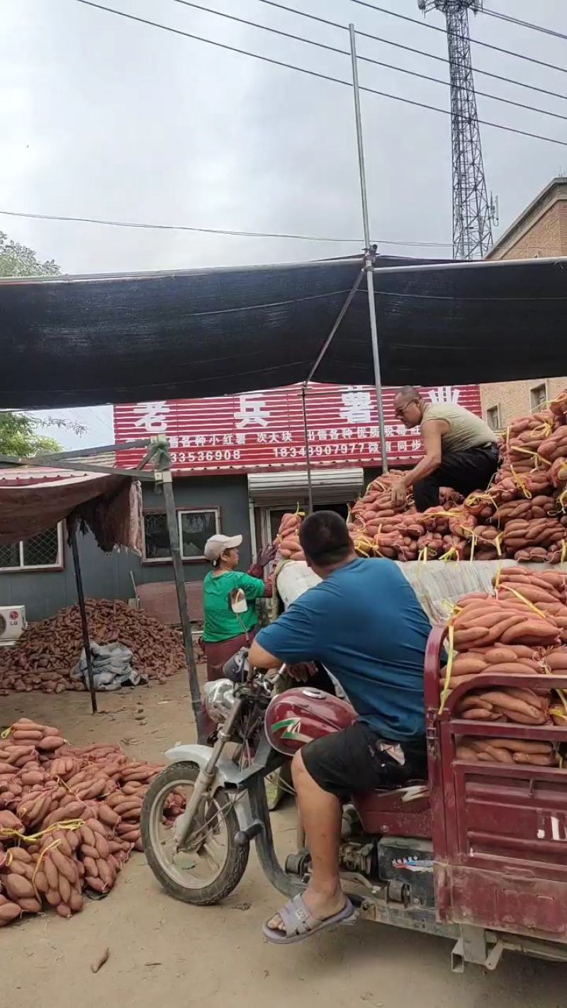 河北龙薯小红薯批发，货源充足，量大优惠，支持各种包装