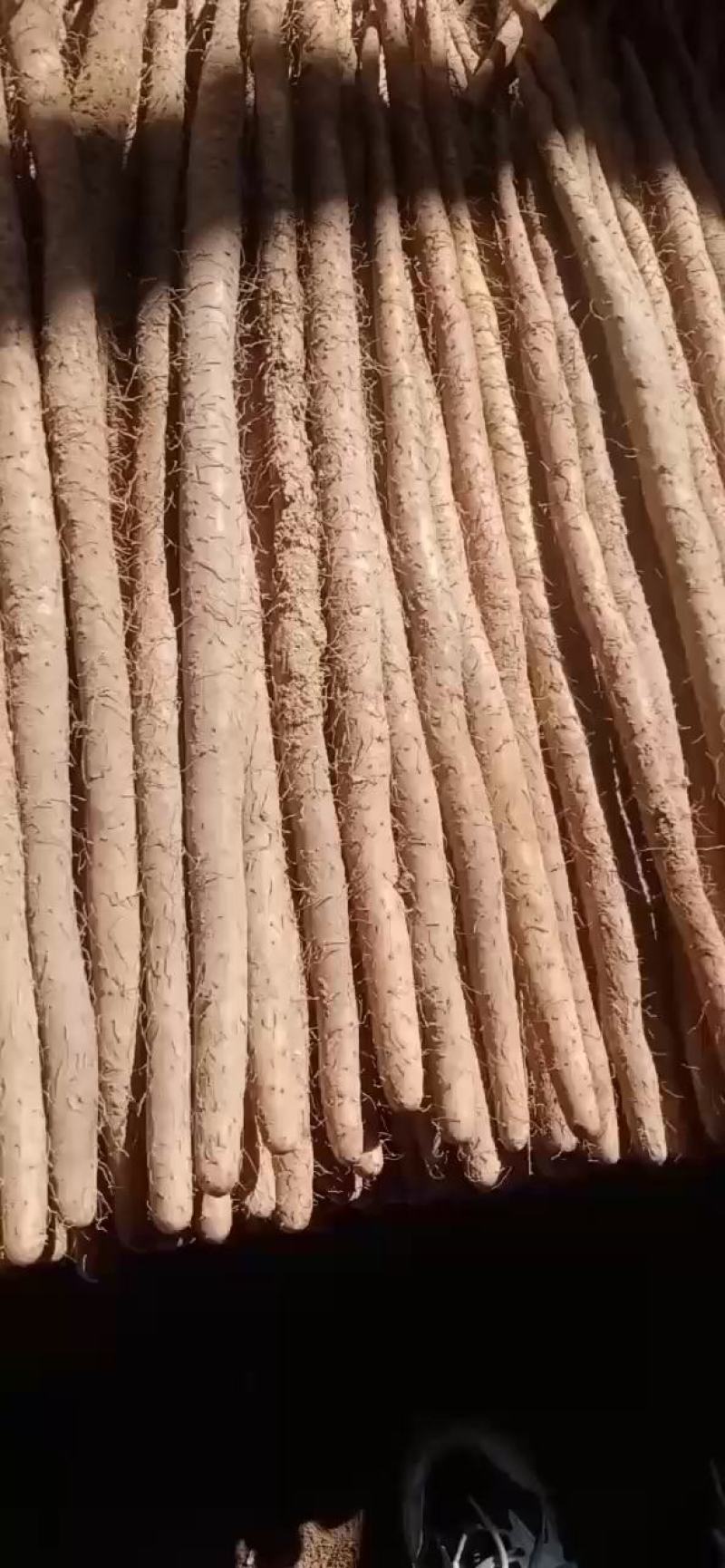 精品西施铁棍山药！！！以质论价，便宜实惠！！