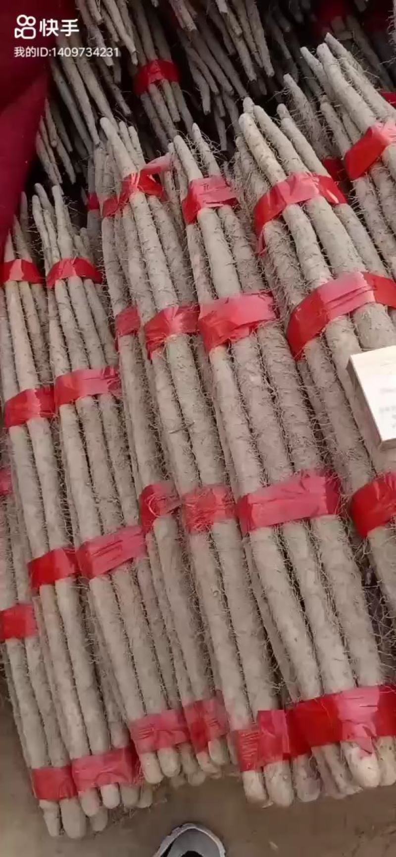 精品西施铁棍山药！！！以质论价，便宜实惠！！