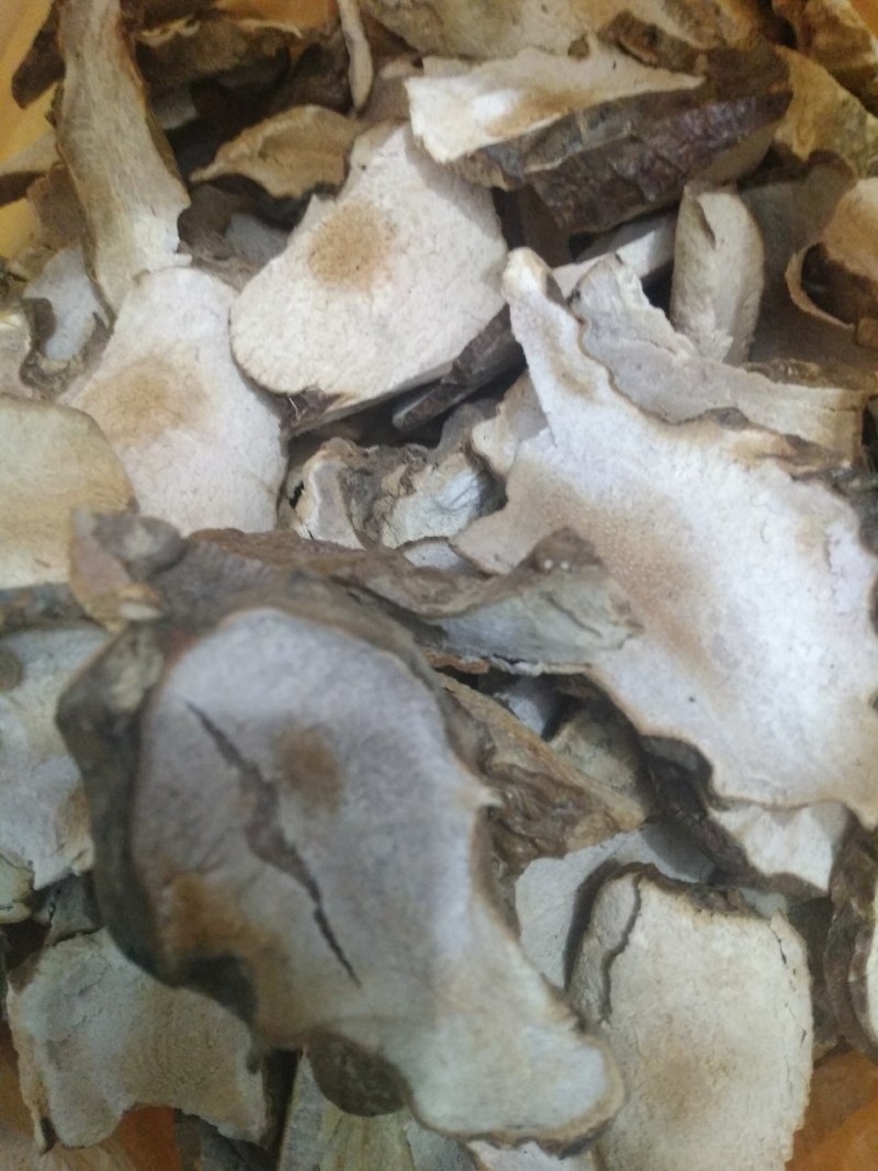 每天都有鲜货白肉粉质鲜大土茯苓，不变色，广西贺州本土产品
