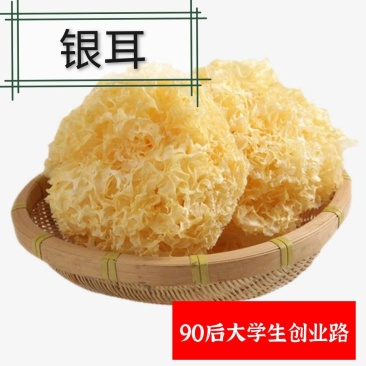 古田银耳雪耳丑耳白木耳无硫磺正宗香料火锅料卤肉料