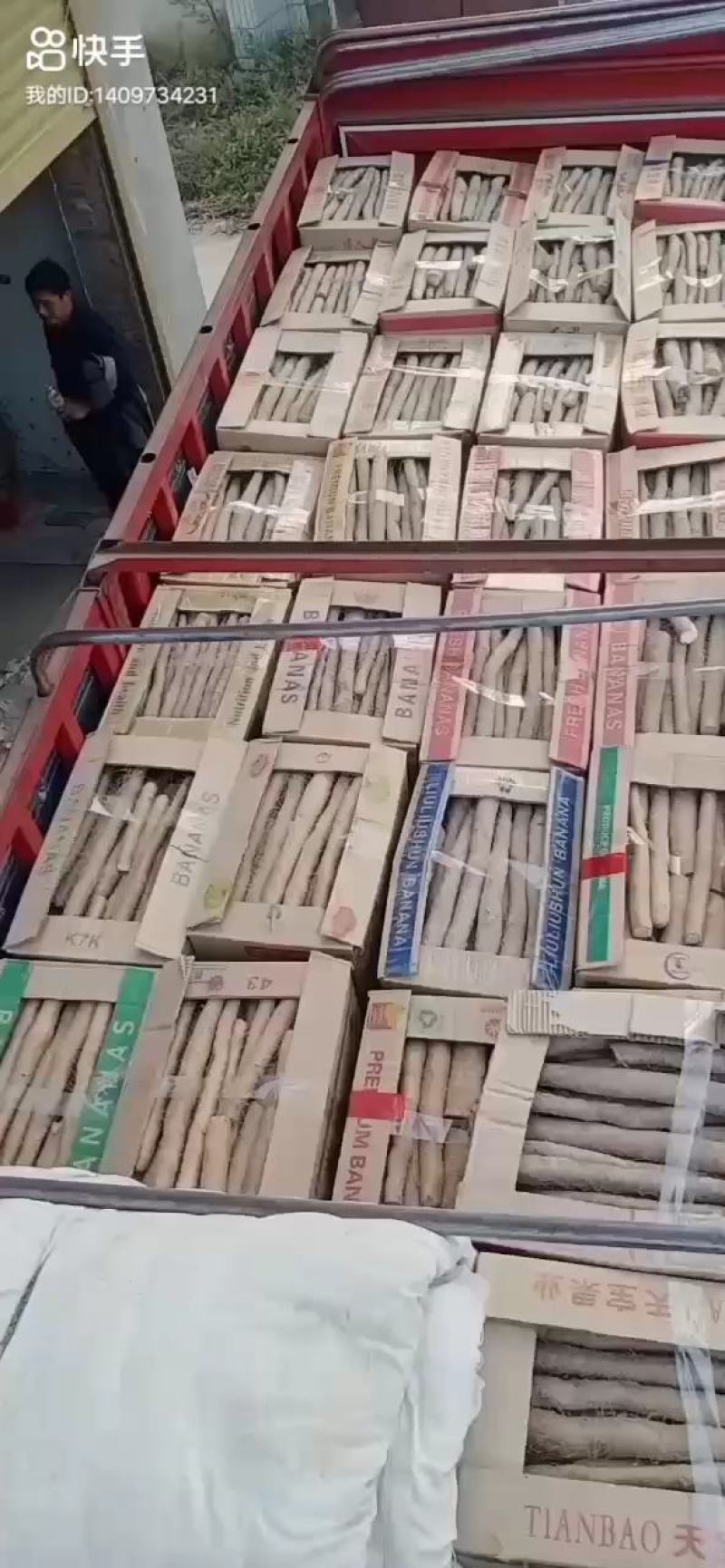 九斤黄山药，大小货，孬好不等！！价格决定质量！