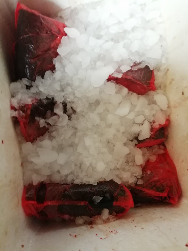 花鲢鱼头鳙鱼，大头鱼垛椒鱼头生态鱼头胖头鱼