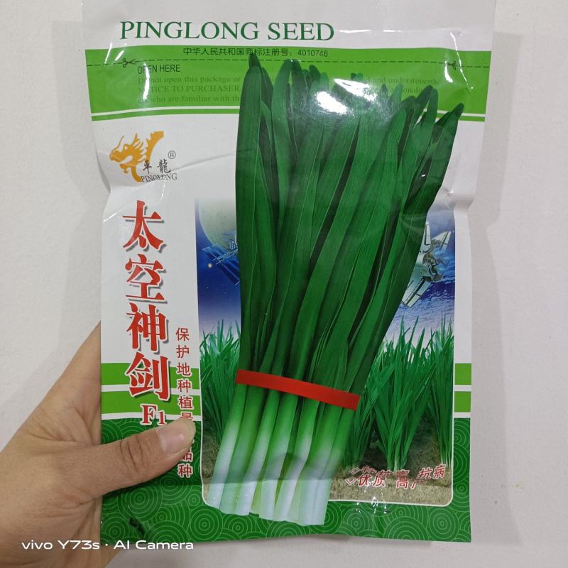 韭菜种子太空神剑宽叶韭菜种籽直立性好高产耐寒耐高温蔬菜种