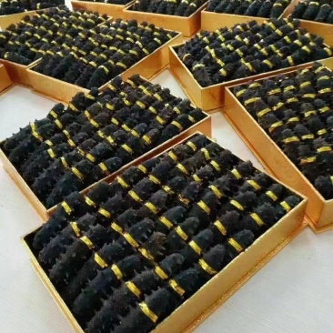干海参即食海参货量充足品质保证量大价优诚信经营