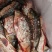 鲤鱼壳子开肚鱼鲤鱼皮酥鱼黄河鲤鱼武汉发货冻鱼冰鲤鱼鱼块