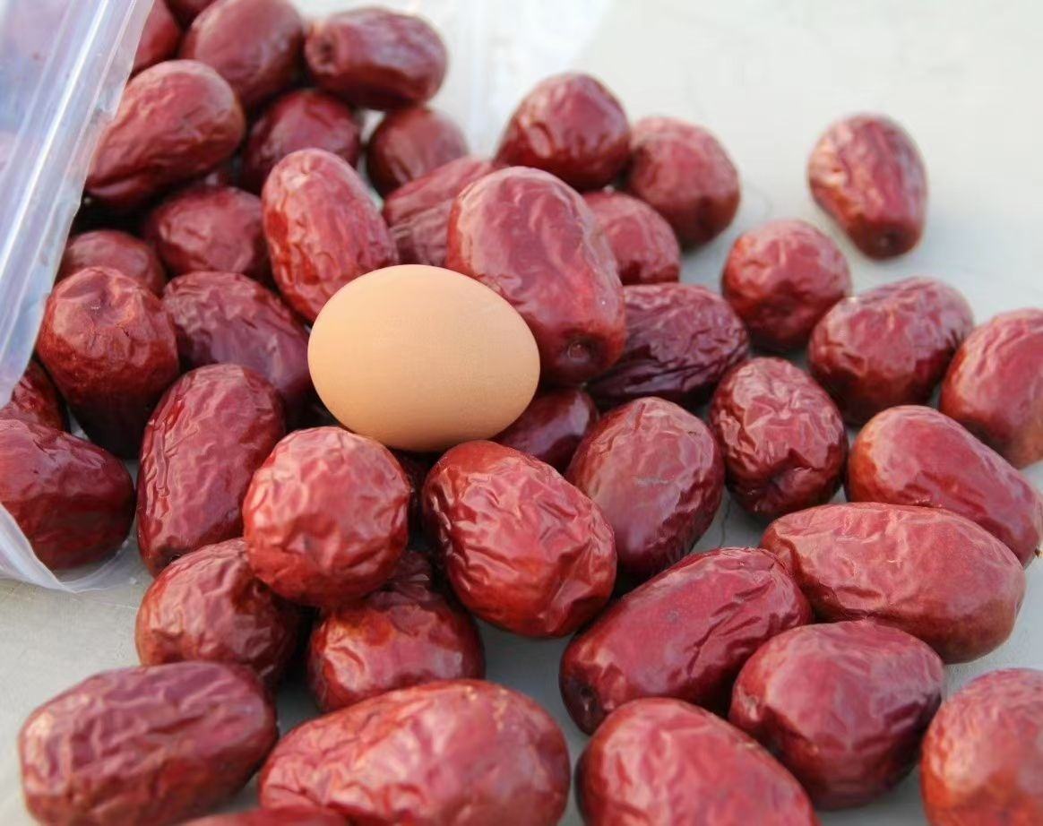 一盘新鲜晾晒后的和田大枣,果粒饱满,色泽鲜亮,摆放整齐 和田大枣成品展示图