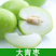 枣树树苗沾化冬枣特大果盆栽地栽庭院南北方种植现挖当年结果