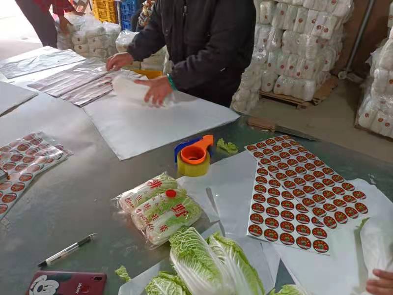 周口娃娃菜精品三颗超市电商货纸包高原娃娃菜