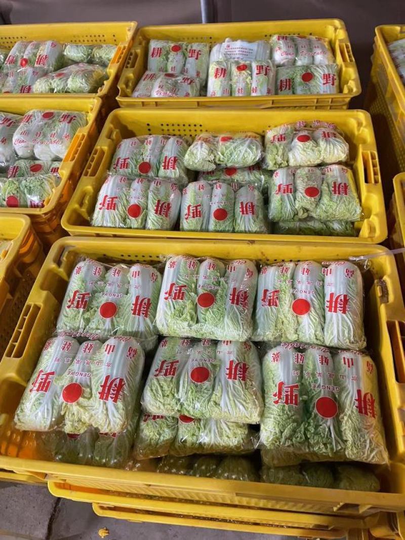 周口娃娃菜精品三颗超市电商货纸包高原娃娃菜