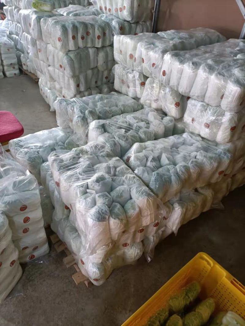 周口娃娃菜精品三颗超市电商货纸包高原娃娃菜