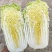 周口娃娃菜精品三颗超市电商货纸包高原娃娃菜