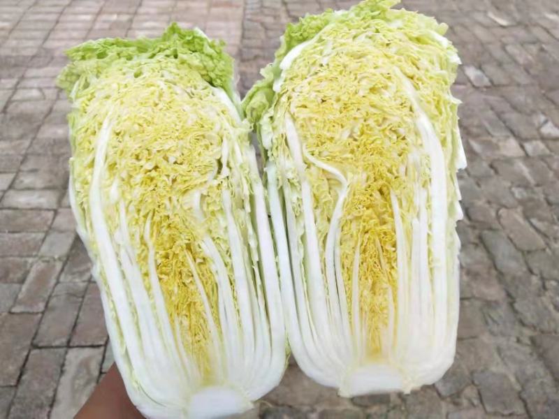 周口娃娃菜精品三颗超市电商货纸包高原娃娃菜