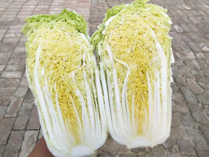 高原娃娃菜营养成分图表