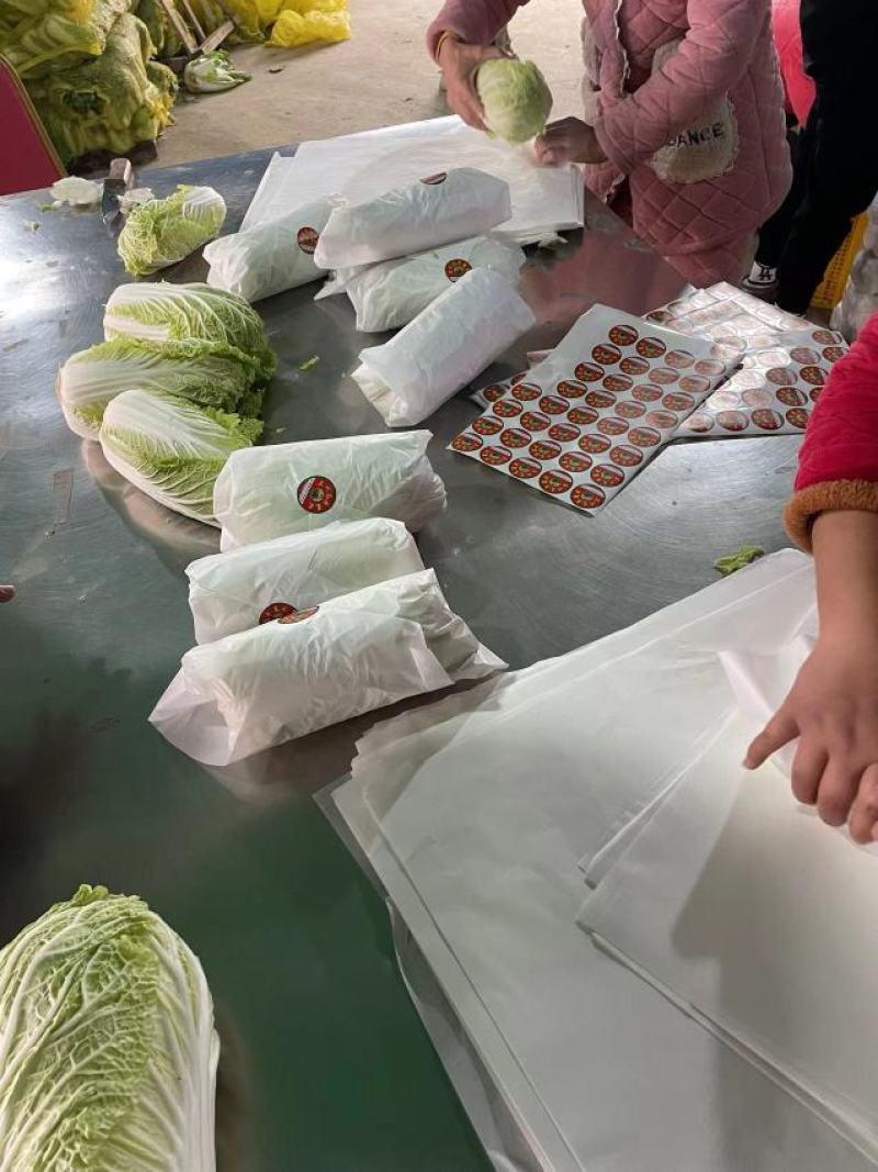 周口娃娃菜精品三颗超市电商货纸包高原娃娃菜