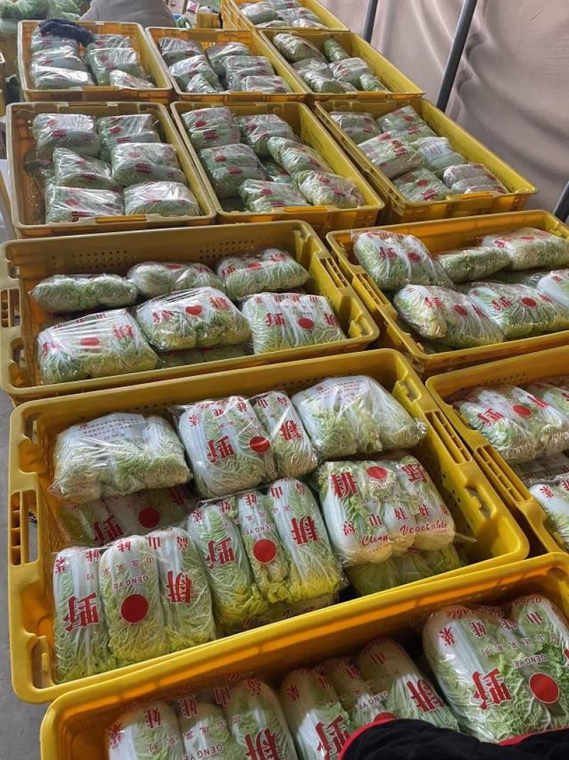 周口娃娃菜精品三颗超市电商货纸包高原娃娃菜