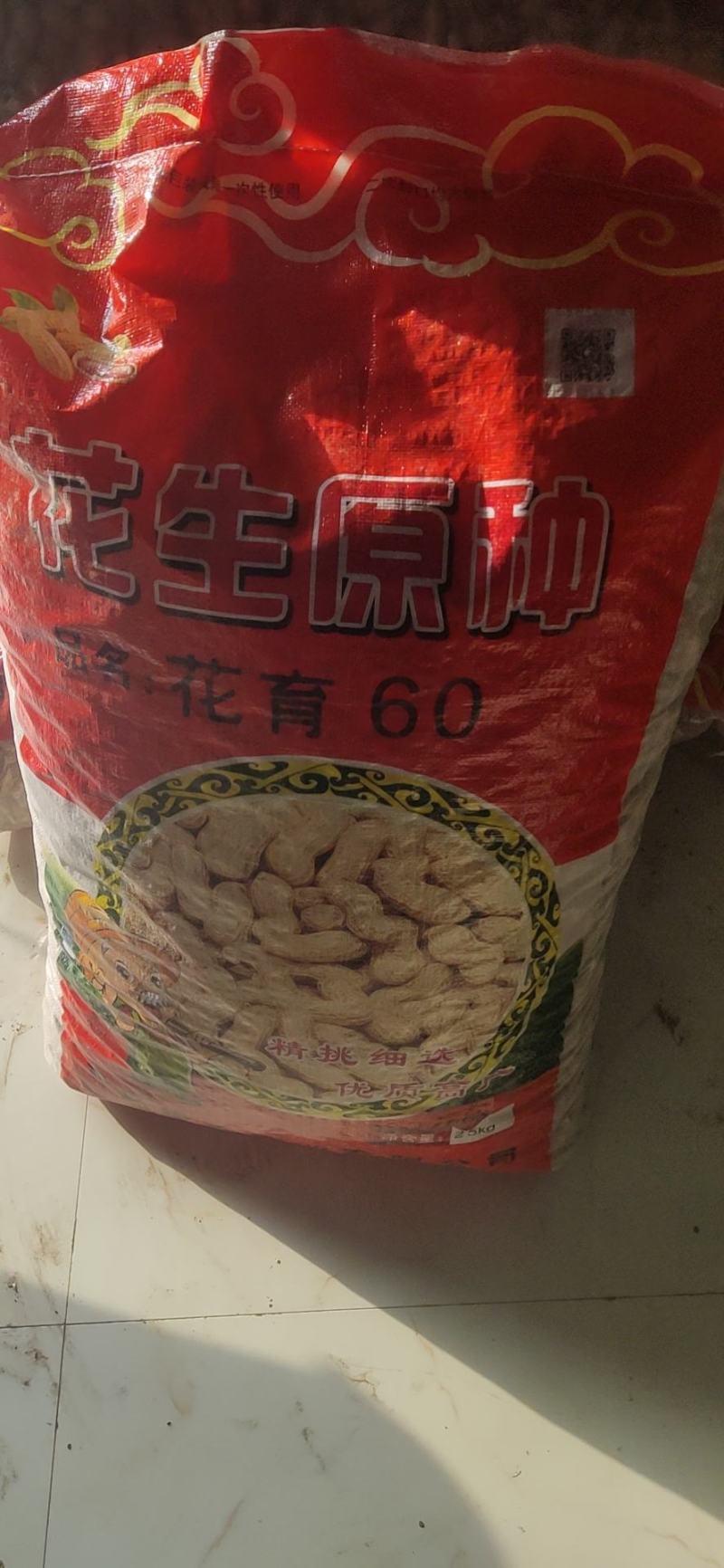 花生种子