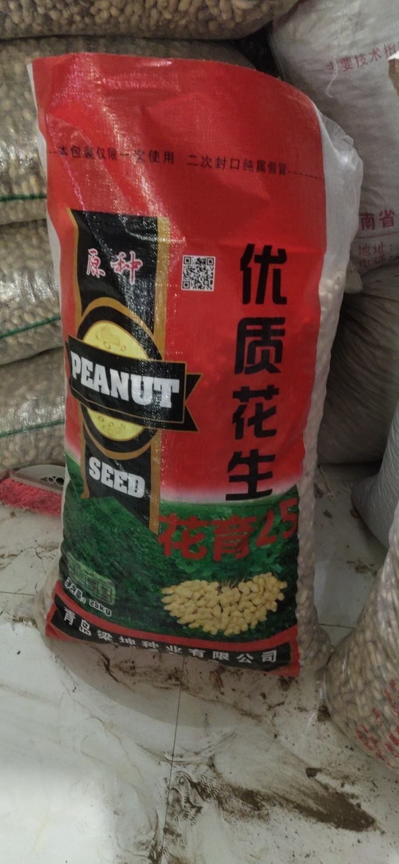 花生种子