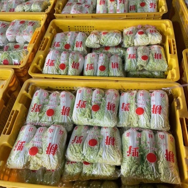 周口娃娃菜精品三颗超市电商货纸包高原娃娃菜