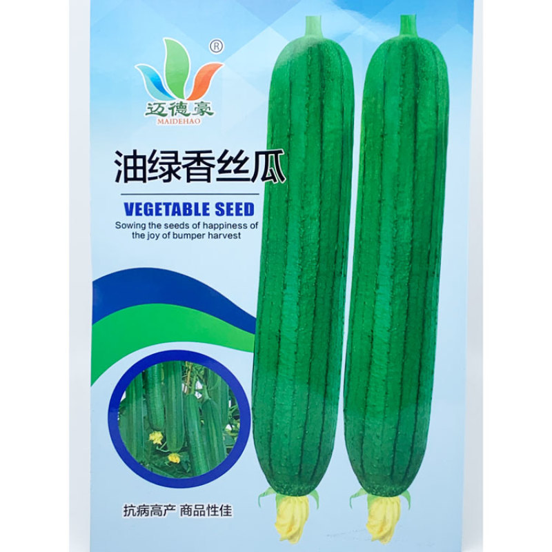 油绿香丝瓜种子短棒油皮丝瓜籽25厘米黑籽短丝瓜10克原装