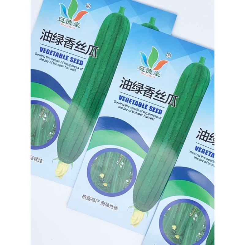 油绿香丝瓜种子短棒油皮丝瓜籽25厘米黑籽短丝瓜10克原装