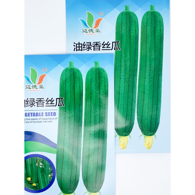 油绿香丝瓜种子短棒油皮丝瓜籽25厘米黑籽短丝瓜10克原装