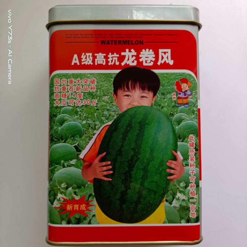 A级高抗龙卷风西瓜籽水果种子皮薄大棚栽培产量高一亩地四季