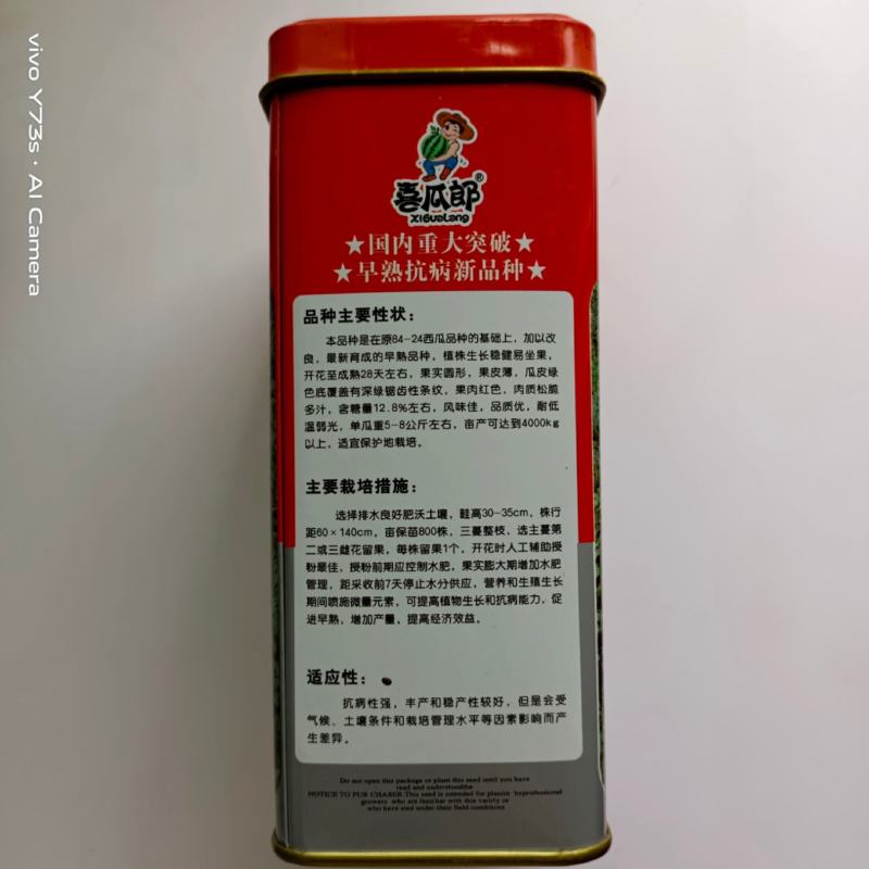 A级高抗龙卷风西瓜籽水果种子皮薄大棚栽培产量高一亩地四季