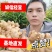 广西大肉姜每年这个时候，我们这边生姜大量上市了