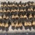 精品白菜干纯手工制作无任何添加自然凉晒又嫩又香