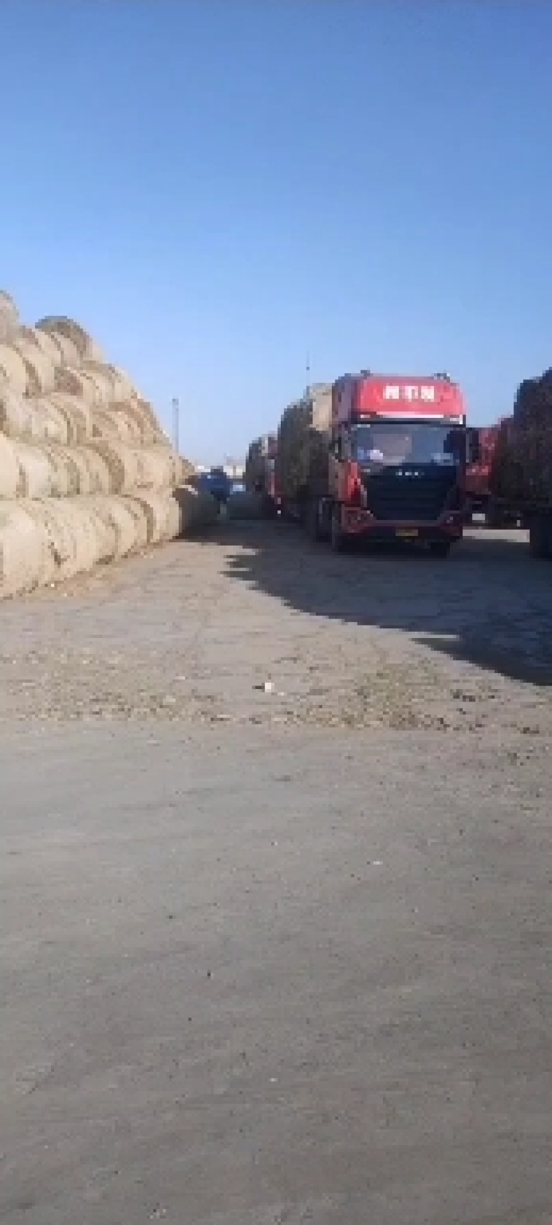 草木灰