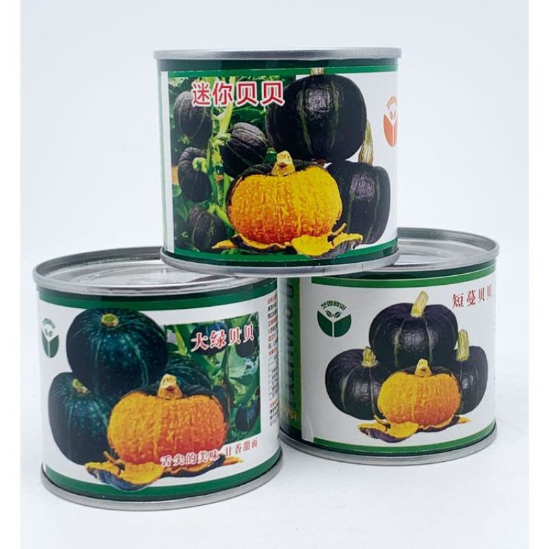 绿贝贝日本南瓜种籽板栗贝贝南瓜种迷你贝贝南瓜种子100粒