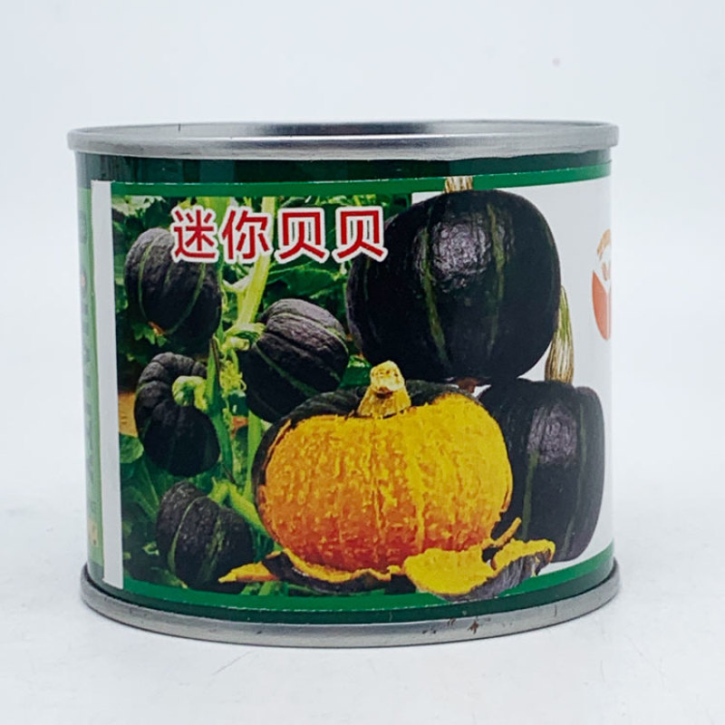 绿贝贝日本南瓜种籽板栗贝贝南瓜种迷你贝贝南瓜种子100粒