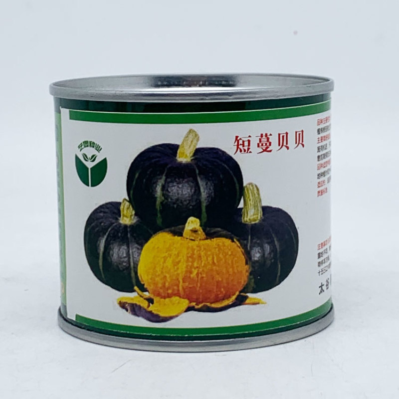 绿贝贝日本南瓜种籽板栗贝贝南瓜种迷你贝贝南瓜种子100粒