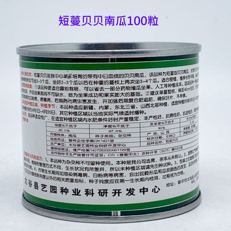 绿贝贝日本南瓜种籽板栗贝贝南瓜种迷你贝贝南瓜种子100粒