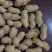 宁陵县龙腾生态农业绿色农业手剥花生米纯种