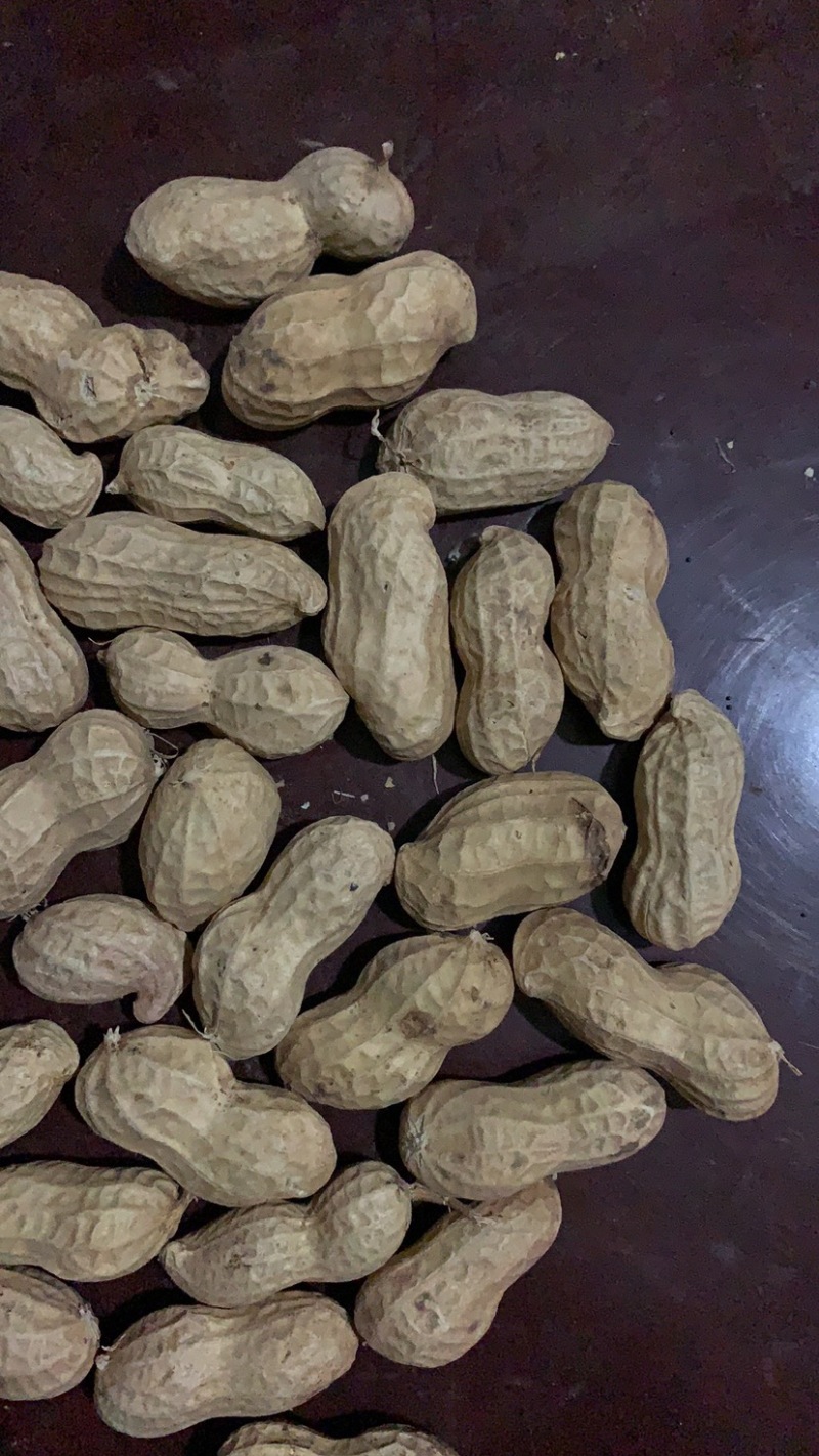 宁陵县龙腾生态农业绿色农业手剥花生米纯种