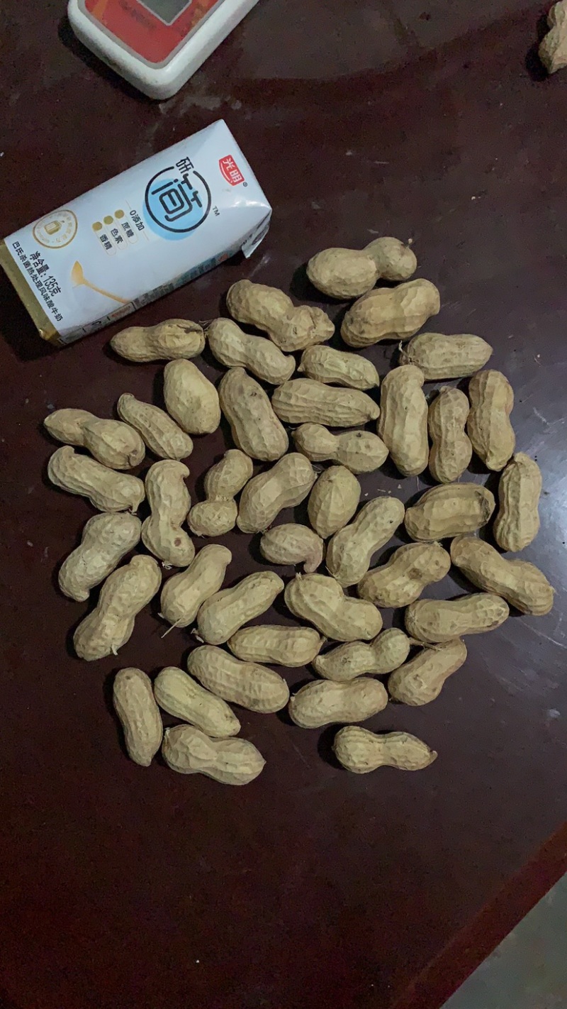 宁陵县龙腾生态农业绿色农业手剥花生米纯种