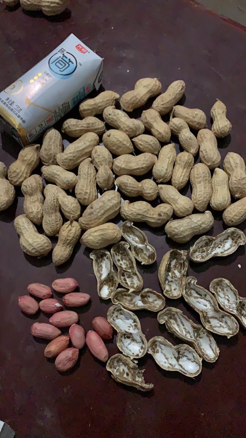 宁陵县龙腾生态农业绿色农业手剥花生米纯种
