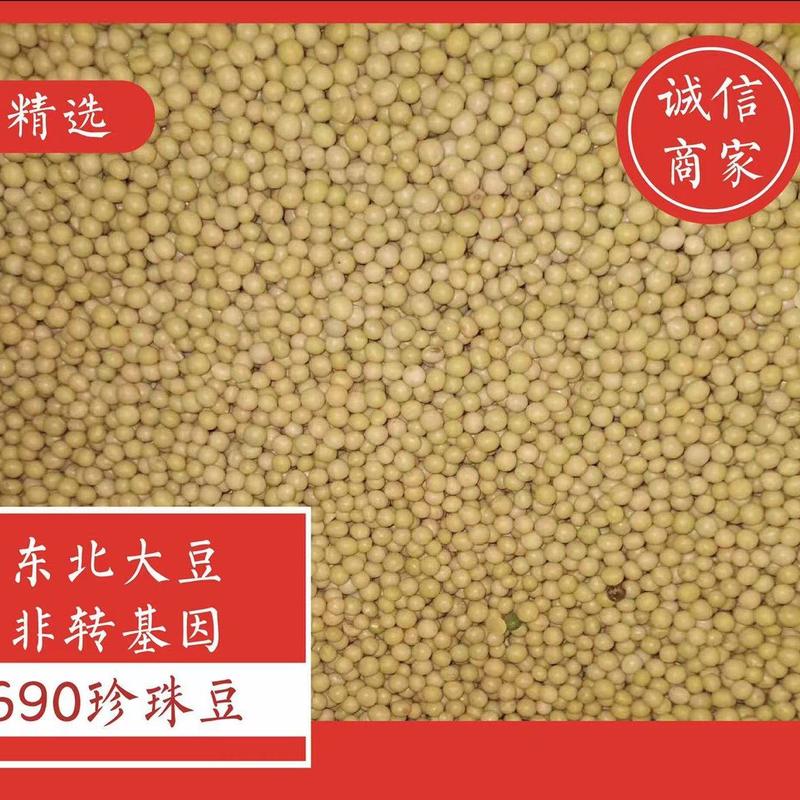 黄芽豆东农690珍珠豆经过色选机精致塔选发芽率高后劲足