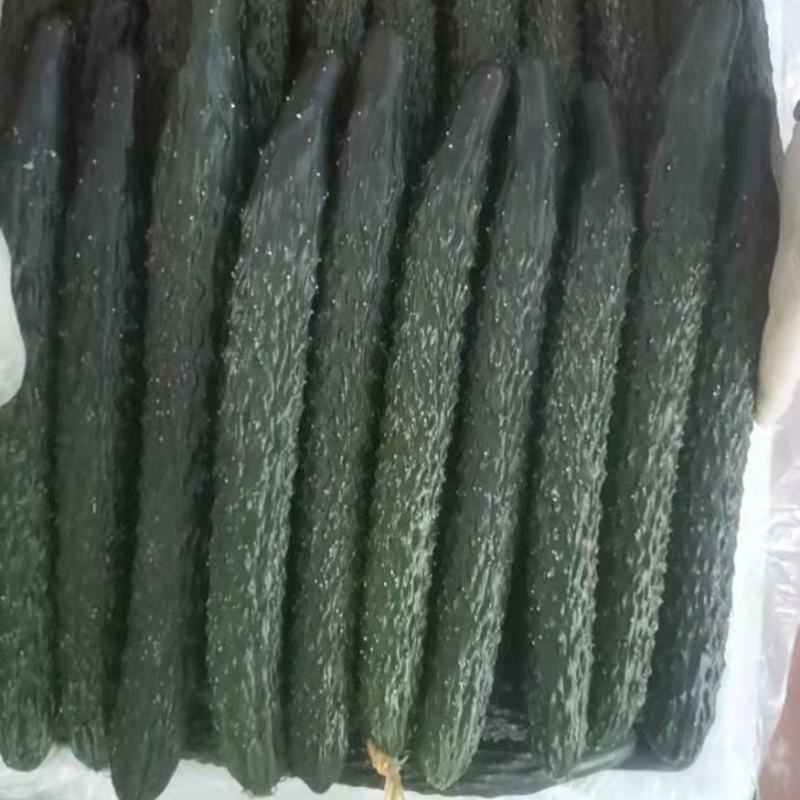 大棚青瓜，量大，运输方便，