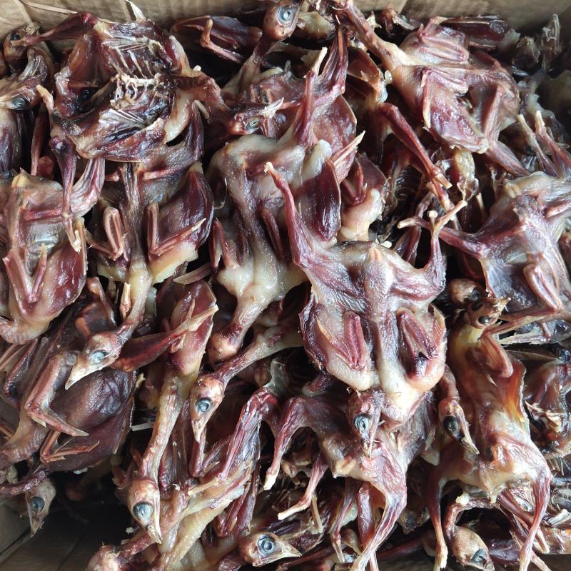 风干，腊鹌鹑