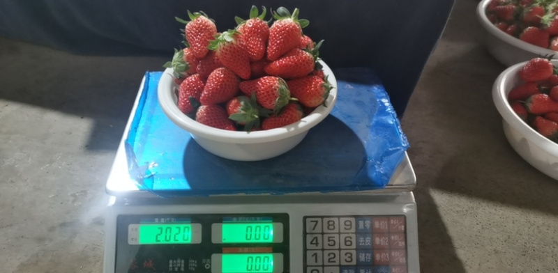 济南章丘甜宝草莓实力代办包装应有尽有