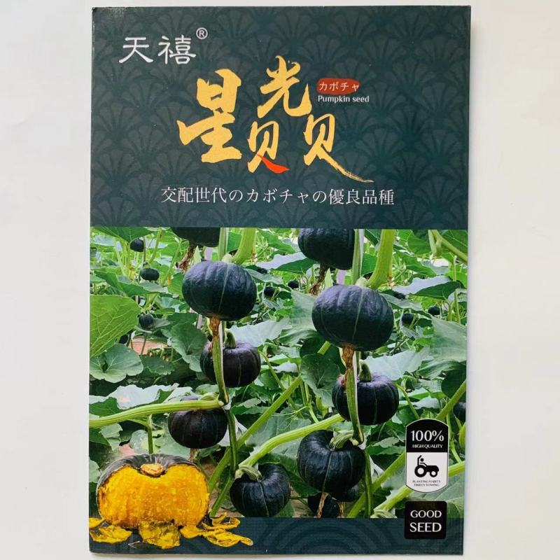 日本高品质南瓜亲本杂交选育贝贝南瓜种子粉度高淡香溢人