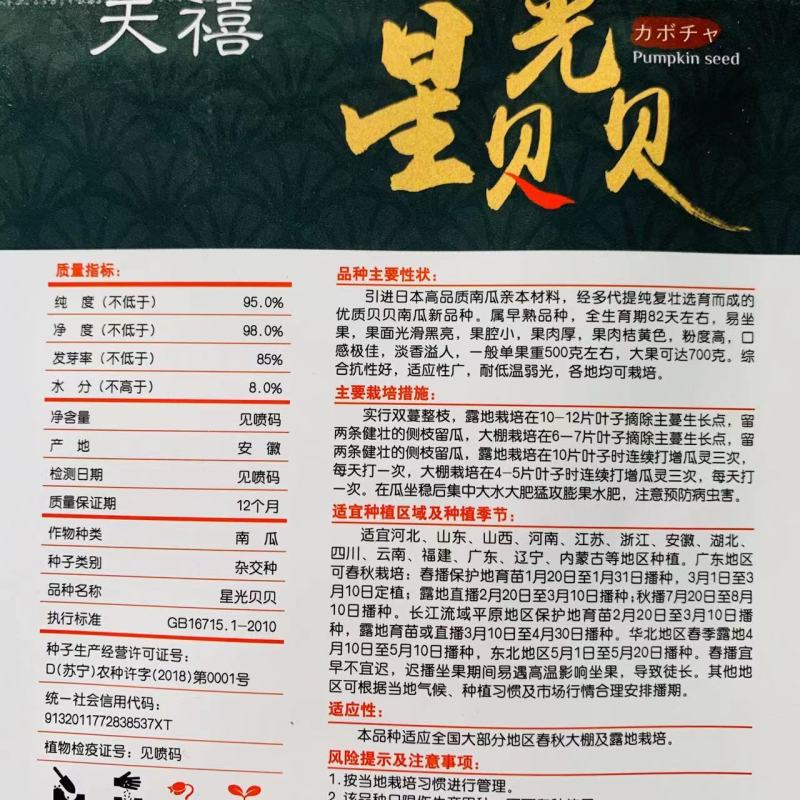 日本高品质南瓜亲本杂交选育贝贝南瓜种子粉度高淡香溢人
