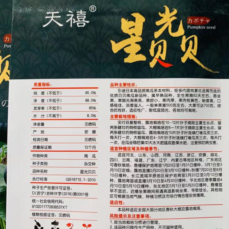 日本高品质南瓜亲本杂交选育贝贝南瓜种子粉度高淡香溢人