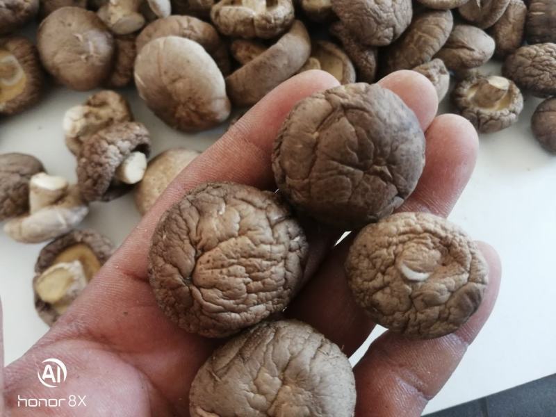 干香菇冬菇一件代发包邮一件起批（3斤装）